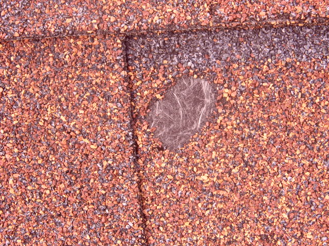 Hail damage on log cabin roof